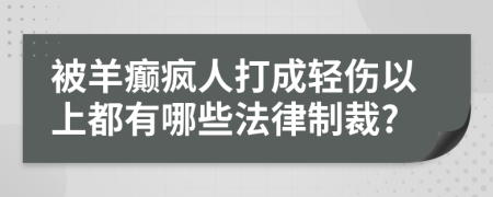 被羊癫疯人打成轻伤以上都有哪些法律制裁?