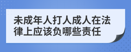 未成年人打人成人在法律上应该负哪些责任