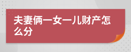 夫妻俩一女一儿财产怎么分