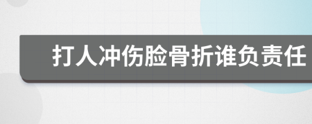 打人冲伤脸骨折谁负责任