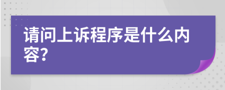 请问上诉程序是什么内容？