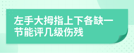 左手大拇指上下各缺一节能评几级伤残