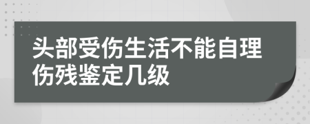 头部受伤生活不能自理伤残鉴定几级