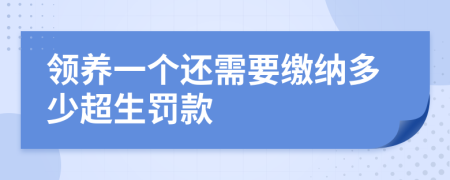 领养一个还需要缴纳多少超生罚款