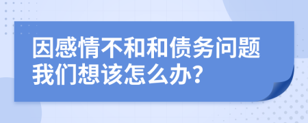 因感情不和和债务问题我们想该怎么办？