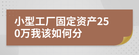 小型工厂固定资产250万我该如何分