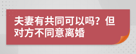 夫妻有共同可以吗？但对方不同意离婚