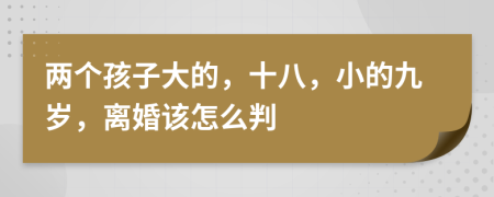 两个孩子大的，十八，小的九岁，离婚该怎么判