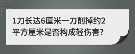 1刀长达6厘米一刀削掉约2平方厘米是否构成轻伤害?