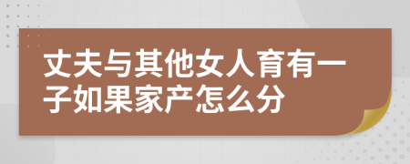 丈夫与其他女人育有一子如果家产怎么分