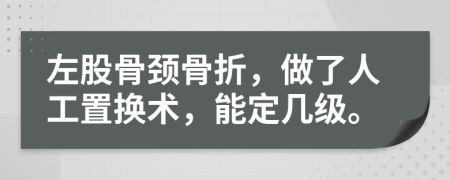 左股骨颈骨折，做了人工置换术，能定几级。