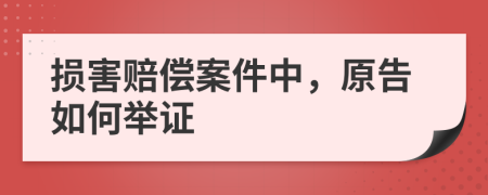 损害赔偿案件中，原告如何举证