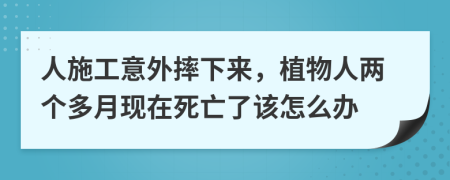 人施工意外摔下来，植物人两个多月现在死亡了该怎么办