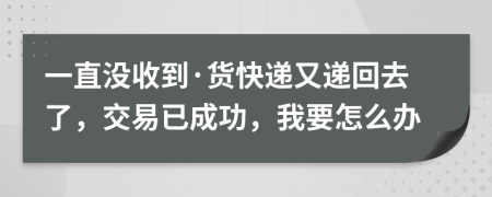 一直没收到·货快递又递回去了，交易已成功，我要怎么办