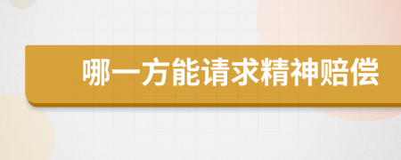 哪一方能请求精神赔偿
