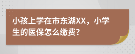 小孩上学在市东湖XX，小学生的医保怎么缴费？