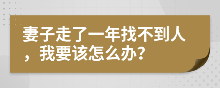 妻子走了一年找不到人，我要该怎么办？