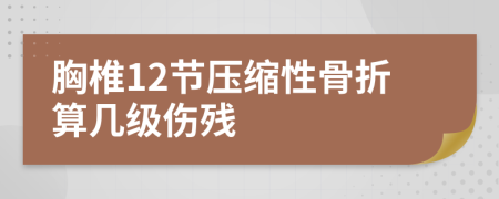 胸椎12节压缩性骨折算几级伤残