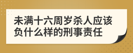 未满十六周岁杀人应该负什么样的刑事责任