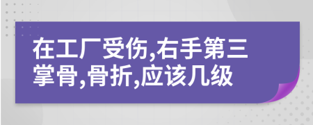 在工厂受伤,右手第三掌骨,骨折,应该几级