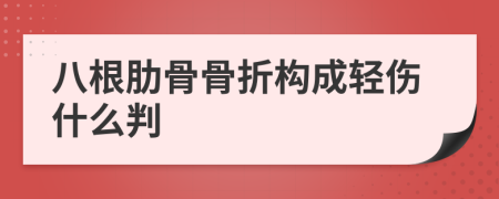 八根肋骨骨折构成轻伤什么判