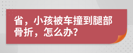 省，小孩被车撞到腿部骨折，怎么办？