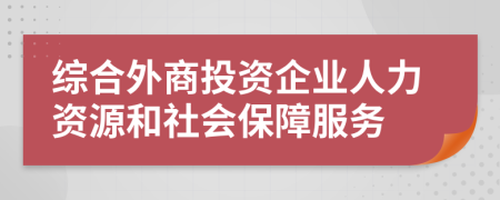 综合外商投资企业人力资源和社会保障服务