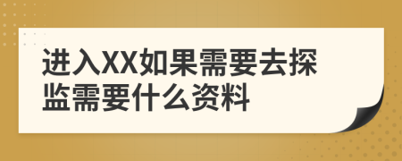 进入XX如果需要去探监需要什么资料