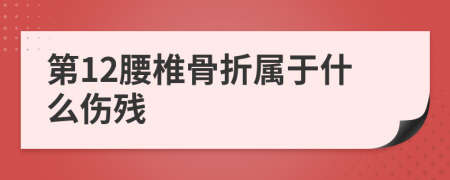 第12腰椎骨折属于什么伤残