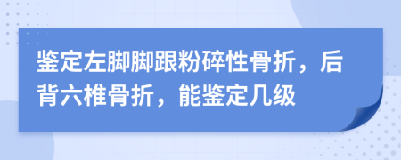 鉴定左脚脚跟粉碎性骨折，后背六椎骨折，能鉴定几级