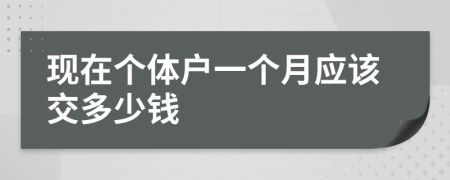 现在个体户一个月应该交多少钱