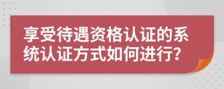 享受待遇资格认证的系统认证方式如何进行？