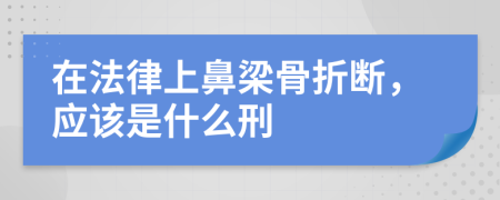 在法律上鼻梁骨折断，应该是什么刑