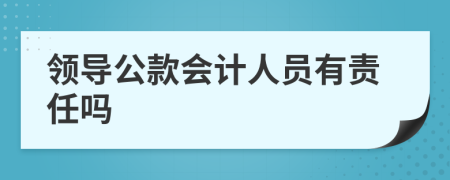 领导公款会计人员有责任吗