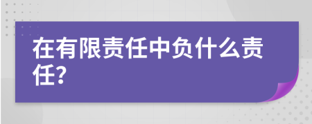 在有限责任中负什么责任？