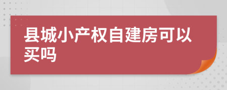 县城小产权自建房可以买吗