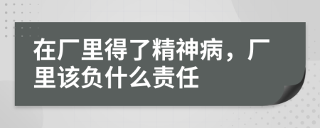 在厂里得了精神病，厂里该负什么责任