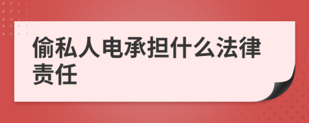 偷私人电承担什么法律责任