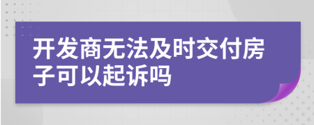 开发商无法及时交付房子可以起诉吗