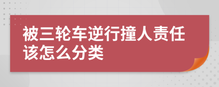 被三轮车逆行撞人责任该怎么分类