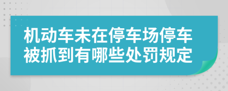 机动车未在停车场停车被抓到有哪些处罚规定