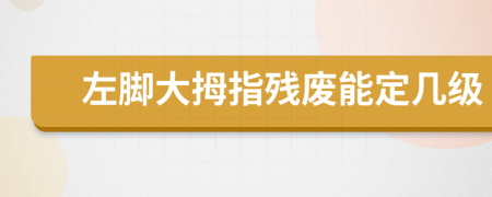 左脚大拇指残废能定几级