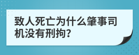 致人死亡为什么肇事司机没有刑拘？