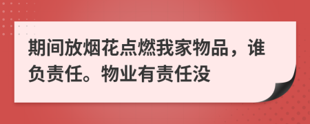 期间放烟花点燃我家物品，谁负责任。物业有责任没
