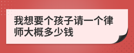 我想要个孩子请一个律师大概多少钱