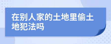 在别人家的土地里偷土地犯法吗