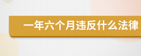 一年六个月违反什么法律