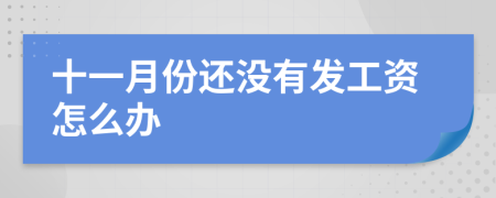 十一月份还没有发工资怎么办