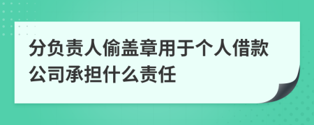 分负责人偷盖章用于个人借款公司承担什么责任