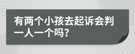 有两个小孩去起诉会判一人一个吗？